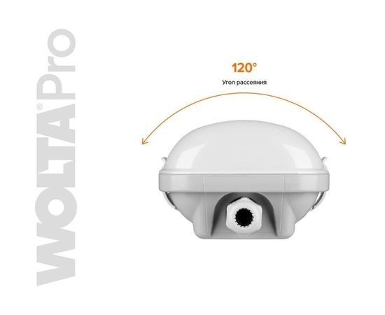 Светильник WOLTA PRO УльтраПРОМ, матовый ДСП04-36-001-6К – изображение 7