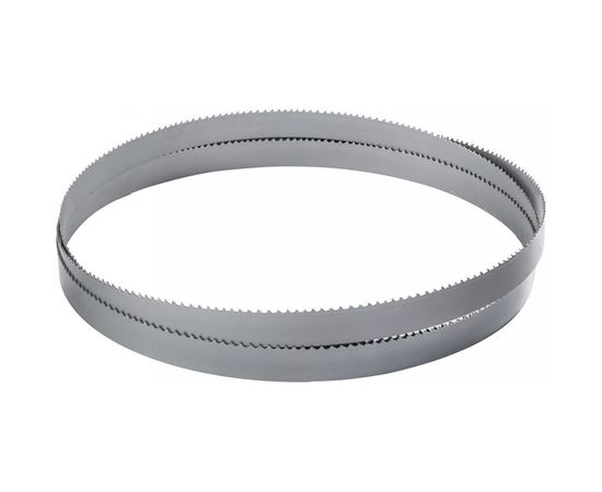 Полотно ленточное М42 (2360х20х0.9 мм; 10/14 TPI) ECO EM42200910142360 