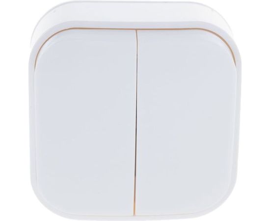 Двухклавишный выключатель IONICH о/у, 10А, 220В, белый еврослот 1413 