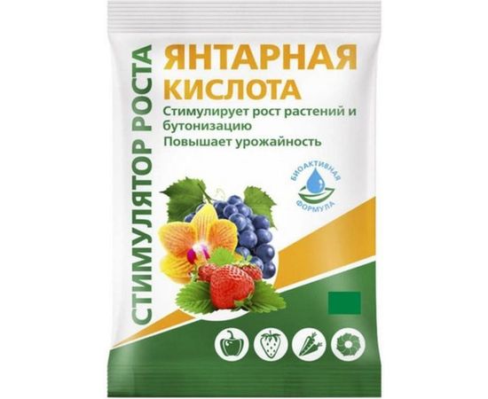 Янтарная кислота БиоМастер 4 г УП000002184 