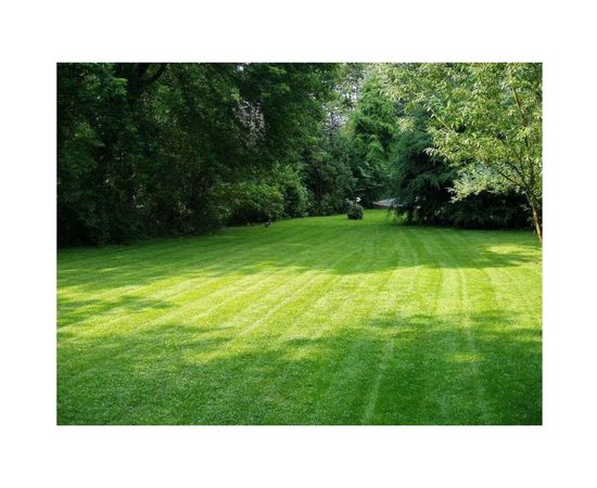 Семена газона TM SORTLINE Смесь трав Тень 0.2 кг 4620766503841 – изображение 2