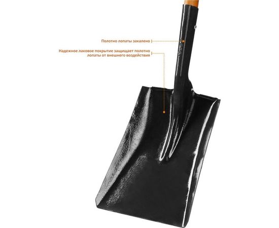 Совковая лопата, деревянный черенок, Профессионал ЗУБР Профи-10 39361_z02 – изображение 2
