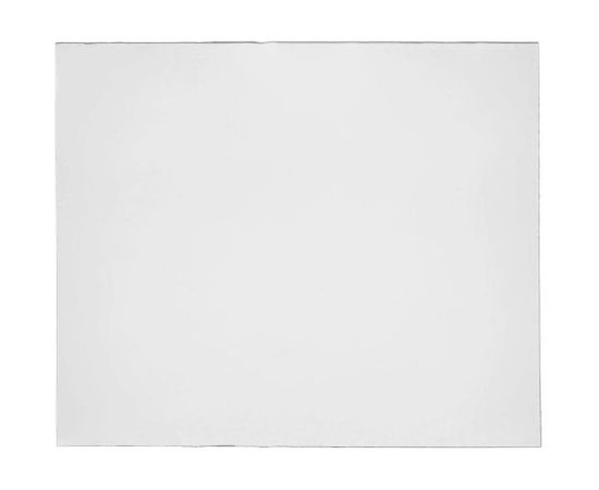 Пластина защитная поликарбонатная (50 шт; 120х100 мм) ПТК 00000032543 