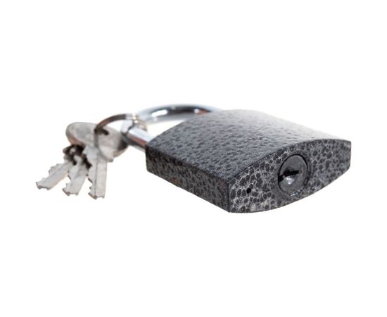 Навесной замок Фабрика замков 303F-50 СТ-00000338 – изображение 3