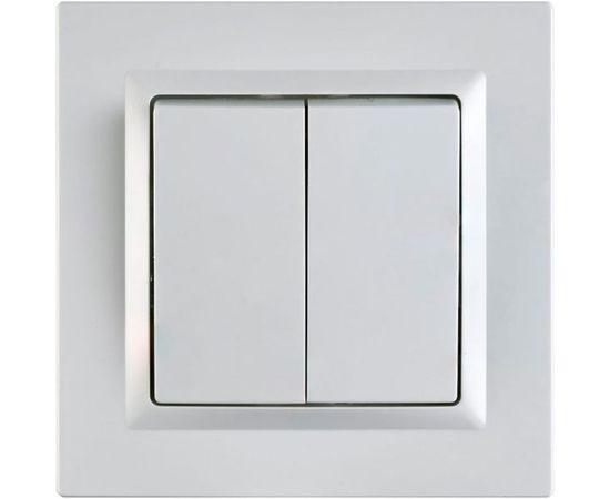 2 клавишный выключатель ECON Камелия 10А белый K002 