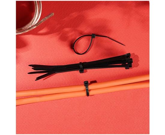 Хомут REXANT nylon 100x2.5 мм 100 шт черный 07-0101 – изображение 4