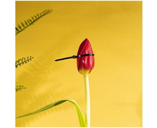 Хомут REXANT nylon 120x2.5 мм 100 шт черный 07-0121 – изображение 4