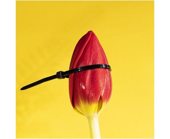 Хомут REXANT nylon 120x2.5 мм 100 шт черный 07-0121 – изображение 3