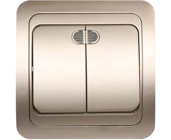 Выключатель Smartbuy 2-клавишный с индикатором 10А шампань Марс SBE-02c-10-SW2-1-c 