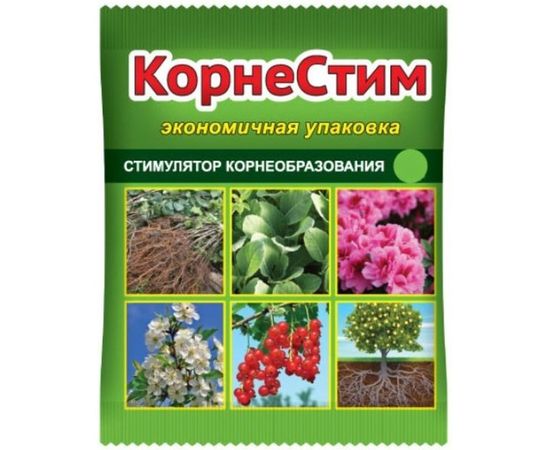Стимулятор роста и корнеобразования 4 гр Корнестим Ваше Хозяйство 4620015696041 