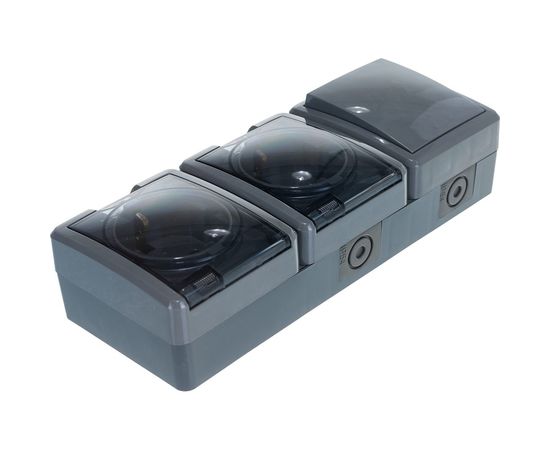 Блок две розетки + выключатель ЭРА 11-7403-03 IP54, 16A 10AX -250В, ОУ, Эксперт, серый Б0027674 