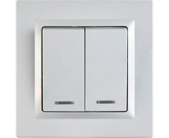 2 клавишный выключатель ECON Камелия с подсветкой 10А белый K008 