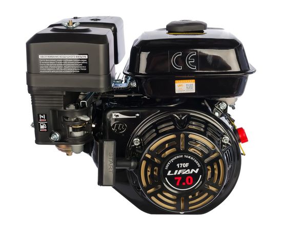 Двигатель LIFAN 170F D19 00-00000618 