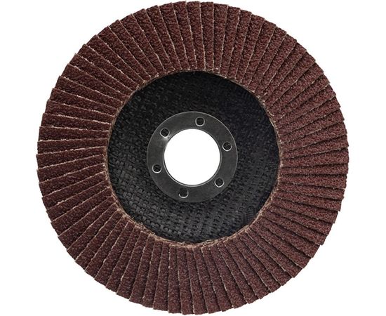 Круг лепестковый торцевой (P60; 125х22.2 мм) REXANT 90-0013 