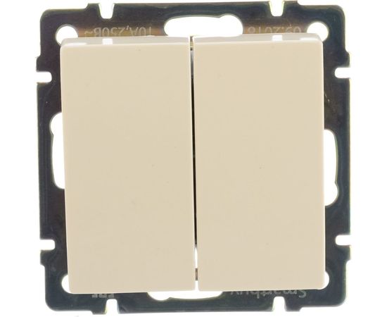 Выключатель Smartbuy 2-клавишный 10А бежевый Нептун SBE-05i-10-SW2-0 