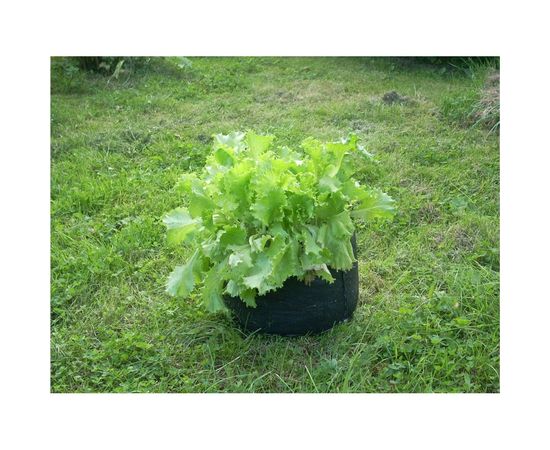 Садовый контейнер BAGPOT 10 л 153289 – изображение 2