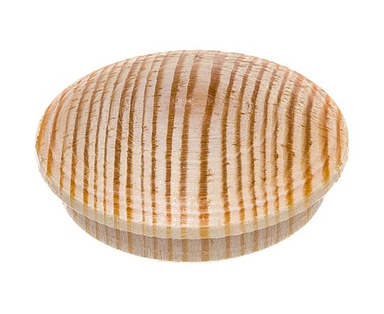 Заглушка Tech-Krep дер на отверстие 25 мм сосна 6 шт 148079 – изображение 4