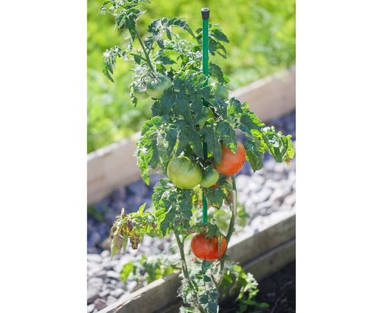 Колышки САДОВИТА 2 м, 10 шт. 00185193 – изображение 3