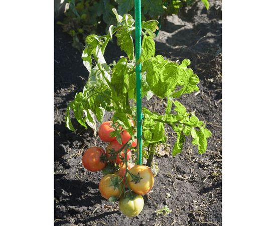 Колышки САДОВИТА 2 м, 10 шт. 00185193 – изображение 2