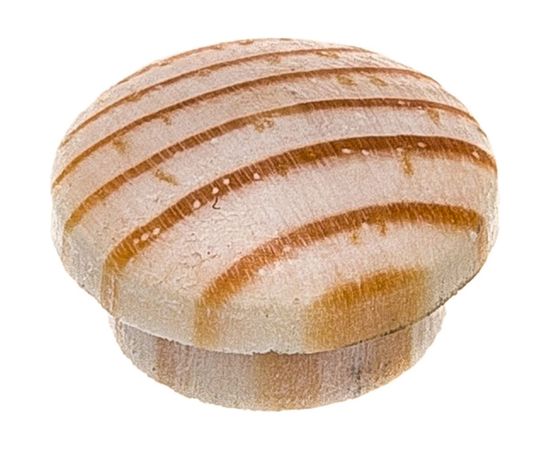 Заглушка на отверстие ЕВРОПАРТНЕР дерев. сосна D10, 35 шт. 16 0015 1 – изображение 5