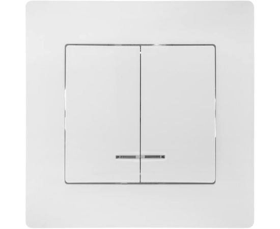 Двухклавишный выключатель GUSI ELECTRIC Bravo с индикатором, СУ, 10А, 250В, белый С10В28-001-СБ 