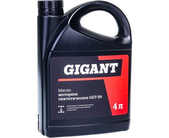 Моторное масло Gigant синтетическое, 4л GGT-09 
