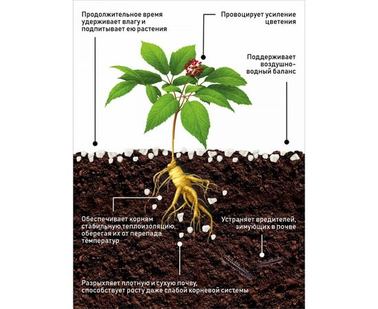 Агроперлит Сила Суздаля 7 л APL0070 – изображение 2