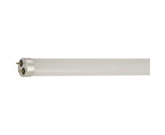 Лампа Gauss Elementary T8, 24W, 2000lm, 4000K, G13, 1200mm, стекло, LED, 1/20 93024 – изображение 2