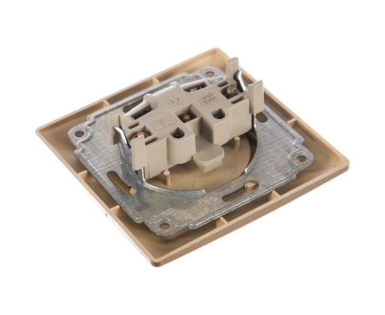 Розетка Intro 420104 2P, 16А, 250В, СУ, Solo, шампань Б0043308 – изображение 3