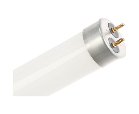 Лампа Jazzway PLED T8-1500GL 24w FROST 6500K 230V/50Hz 1032553 – изображение 4