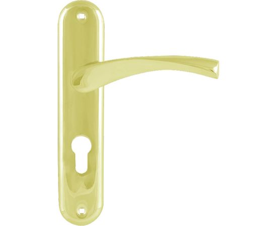 Дверная ручка на планке НОРА-М NEW 100-55 мм золото 16896 