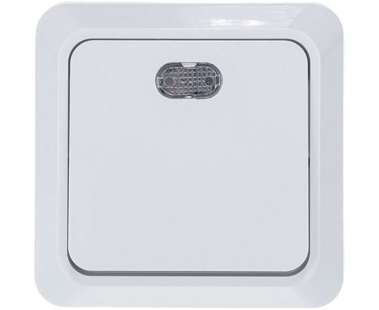 Одноклавишный выключатель TDM открытой установки с подсветкой, белый Ладога SQ1801-0009 