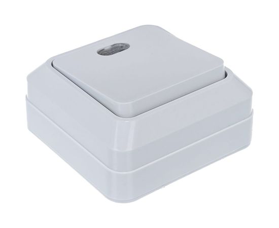 Одноклавишный выключатель TDM открытой установки с подсветкой, белый Ладога SQ1801-0009 – изображение 2