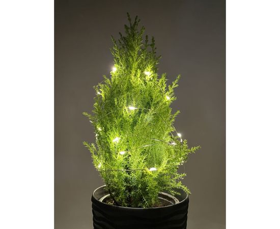 Гирлянда ЭРА ENIN2B LED Нить, 2 м, теплый свет, АА, IP20 Б0041891 – изображение 8