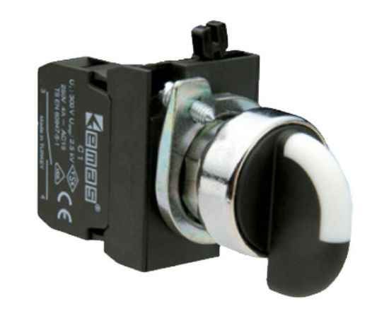 Переключатель Emas серия C, 0-1, с фиксацией, 1НО, металлическое основание, 250 В AC, 4 А CM100S20 