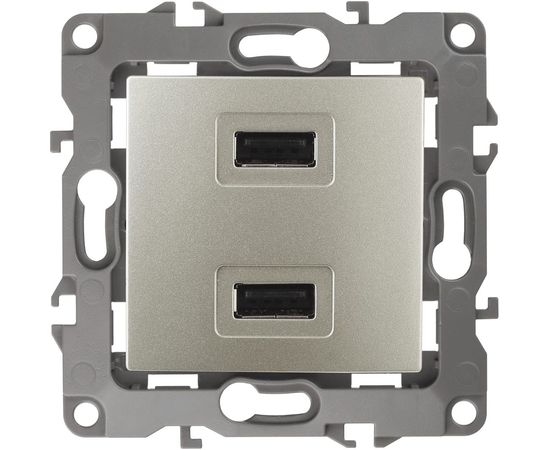 Зарядное устройство USB ЭРА 12-4110-04 230В/5В-2100мА, IP20, шампань Б0027494 