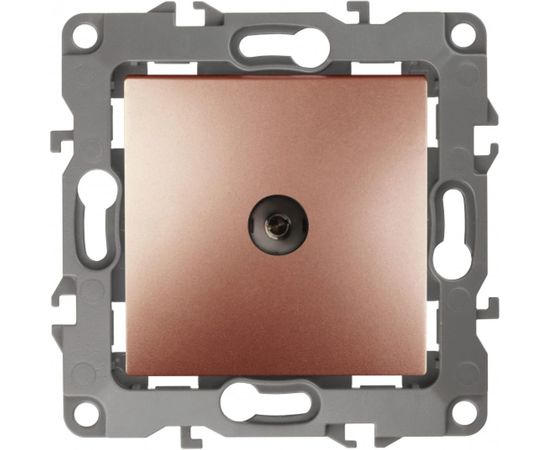 Розетка TV ЭРА 12-3102-14 проходная, IP20, 12, медь Б0027439 