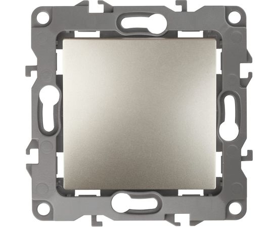 Выключатель ЭРА 12-1001-04 10АХ-250В, IP20, без м.лапок, 12, шампань Б0014630 