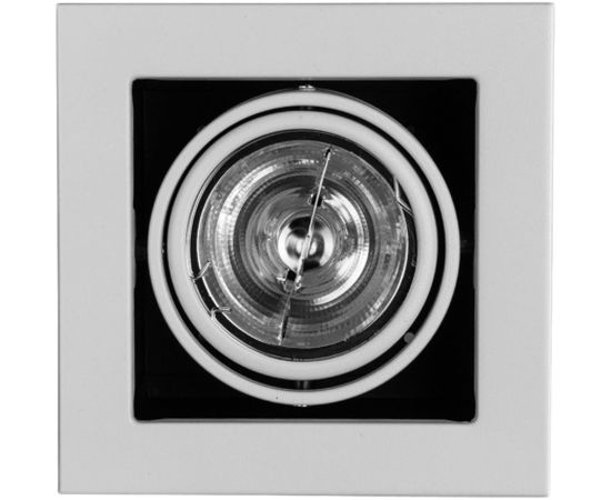 Потолочные поворотный светильник Arte Lamp A5930PL-1WH 