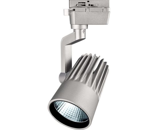 Прожектор Jazzway PTR 0125-2 25w 4000K 24гр. GR серый IP40 5023727 