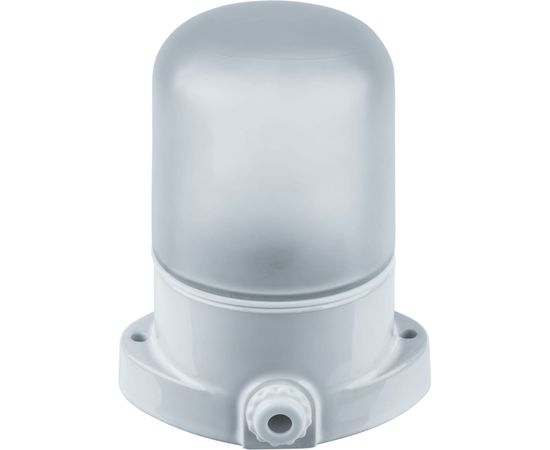 Светильник Navigator, NBL-SA1-60-E27-WH, НПБ 400, для сауны 61509 