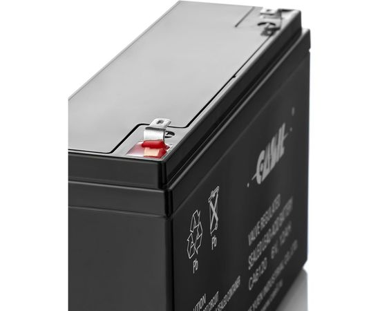 Аккумуляторная батарея CASIL CA6120 6 В, 12 Ач, F1 10601015 – изображение 2