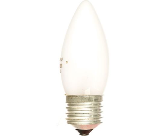 Электрическая лампа накаливания с матовой колбой MIC Camelion 40/B/FR/E27, 9865 