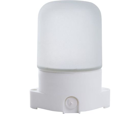 Накладной прямой светильник для бани и сауны FERON НББ 01-60-001 IP65, 230V, 60Вт, Е27 41406 