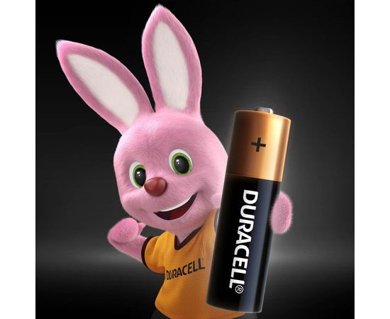 Элемент питания Duracell LR6-4BL BASIC CN 48/192/18816 Б0026815 – изображение 2