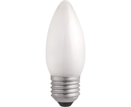 Электрическая лампа накаливания с матовой колбой MIC Camelion 40/B/FR/E27, 9865 – изображение 2