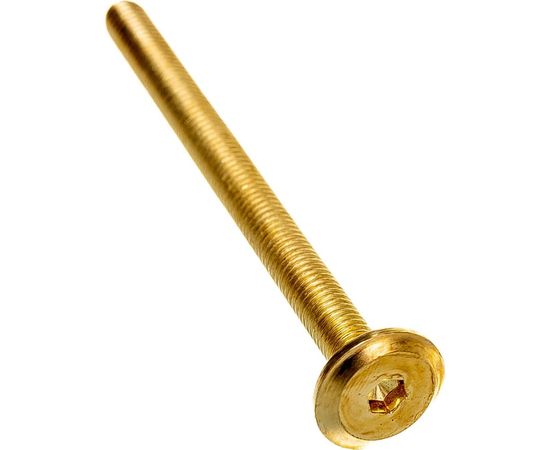 Мебельный винт ЕВРОПАРТНЕР с пл. гол. латунир. М6х80, 16 шт. 6 1803 2 