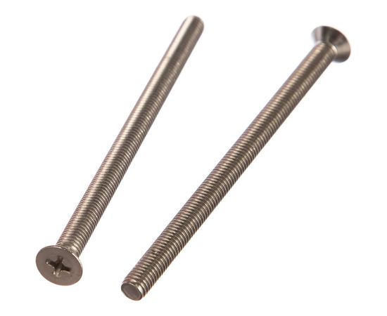 Винт с потайной головкой ЕВРОПАРТНЕР DIN 965 5х80 нержав. сталь 2 шт. G2 2580 1 