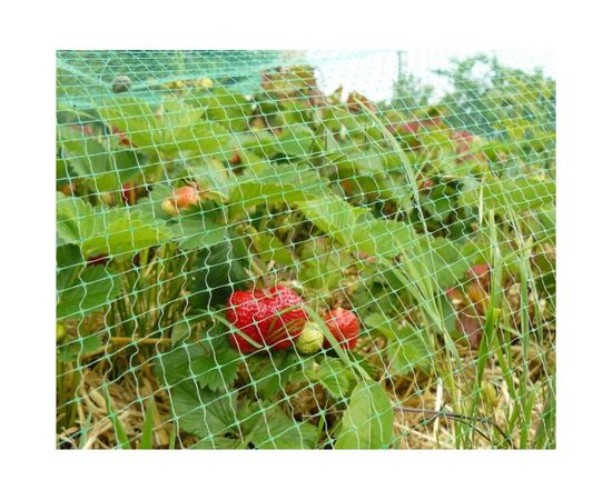 Сетка от птиц Протэкт 2х5 м, хаки У-6/2/5 – изображение 3