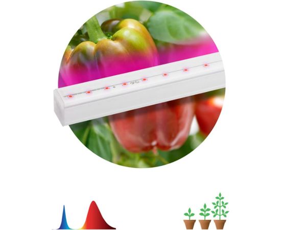 Линейный светильник красно-синего спектра ЭРА FITO16WТ5N Б0045233 – изображение 2